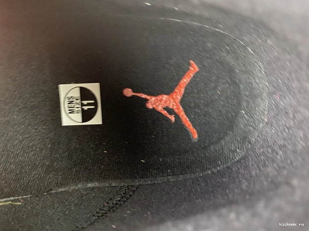 Rep REVERSE 602 13 JORDAN BRED